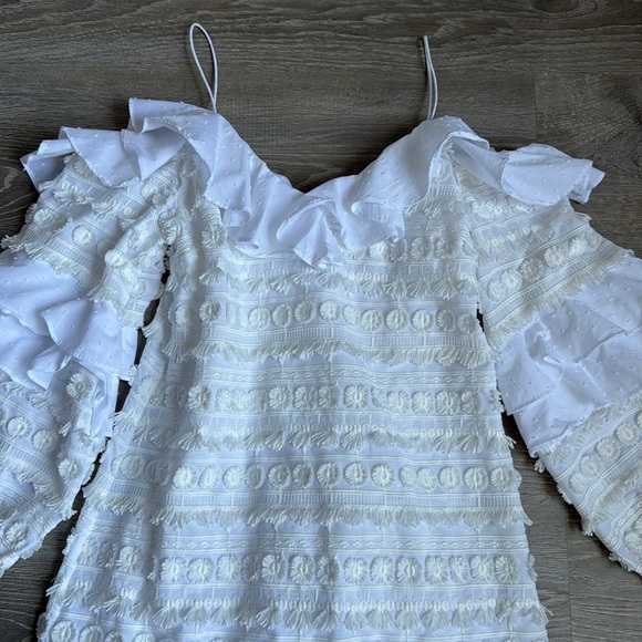 Alexis Calypso Ruffle Mini Dress - Picture 6 of 14